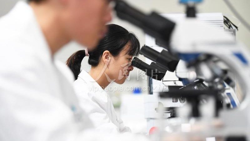 揭秘上海生物试剂行业：品质与技术的双重保障