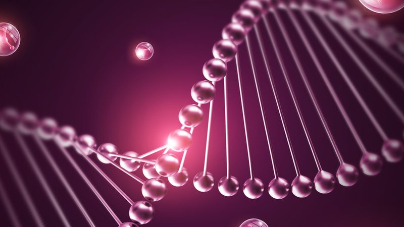 引物合成纯化工艺：揭秘精准科研的幕后功臣