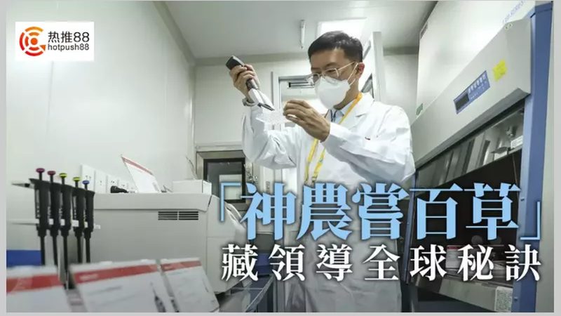 细胞培养外包服务，价格背后的考量因素**