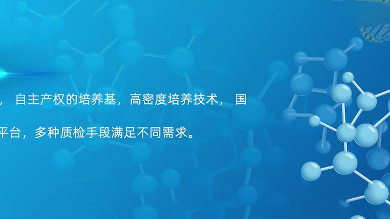 参数解析：关键指标识别