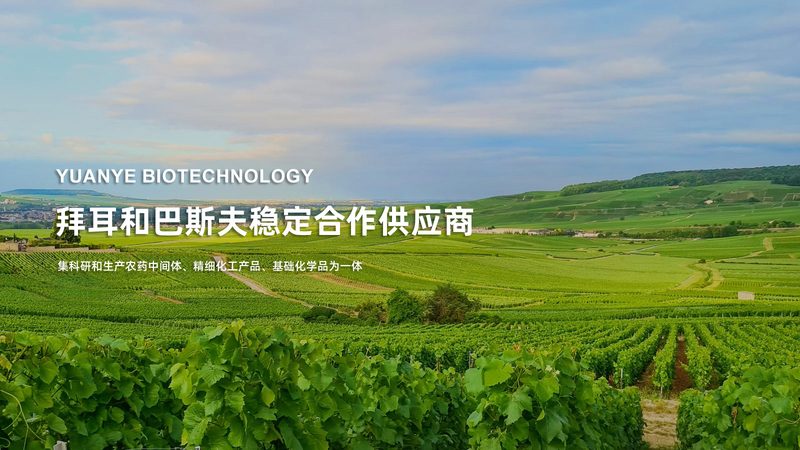 合作共赢：生物科技公司合作中的关键考量**
