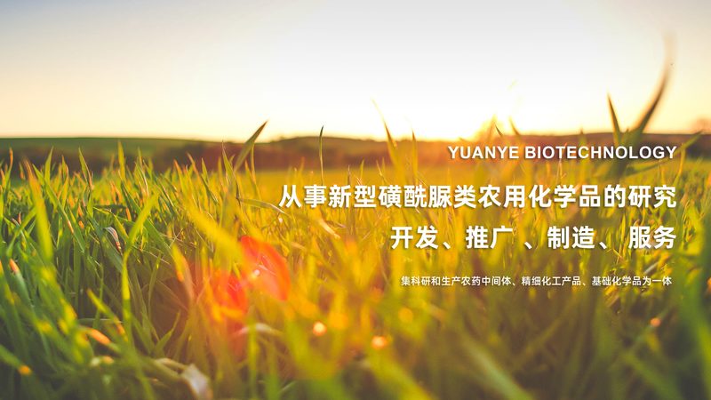 生物医药外包实验室：资质认证，保障研发质量**
