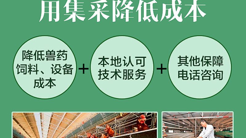 生物医药外包代工，如何选择合适的合作伙伴？**