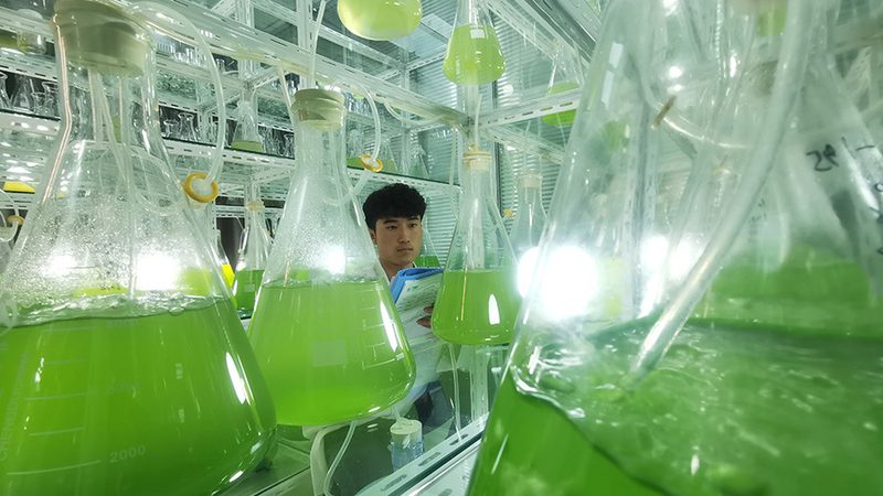 肿瘤基因测序结果出炉时间揭秘